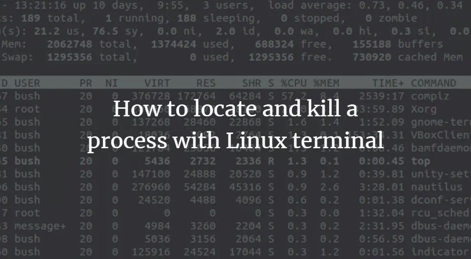 Come uccidere il processo su Linux