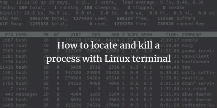 Sehen Sie sich den Prozess unter Linux an