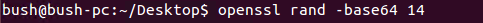 Erstellen Sie ein zufälliges Passwort mit OpenSSL