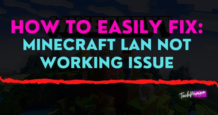 So beheben Sie einfach: Problem mit Minecraft-LAN ​​funktioniert nicht [2022]