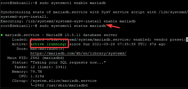 MariaDB Debian 11n