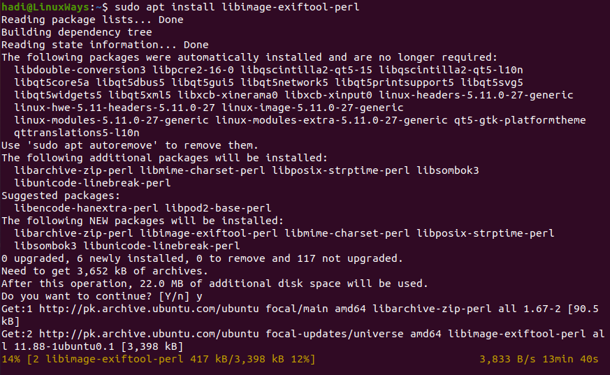 So entfernen Sie Datei-Exif-Daten mit ExifTool in Ubuntu 20.04