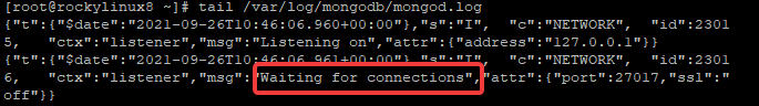 MongoDB wartet auf Verbindungen