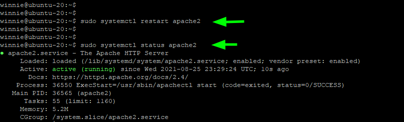 Starten Sie Apache neu, damit die Konfigurationsänderungen wirksam werden