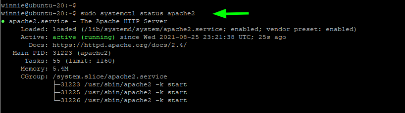Überprüfen Sie den Status des Apache-Webservers
