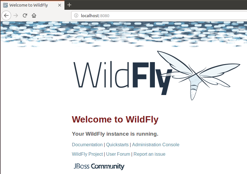 WildFly wurde erfolgreich installiert