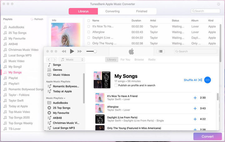 Wählen Sie Apple Music-Songs aus