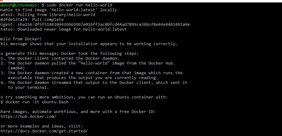 So installieren Sie Portainer Docker Manager in Ubuntu 20.04