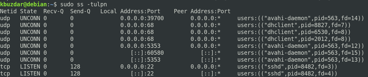Wie man unter Debian 10 nach offenen Ports sucht