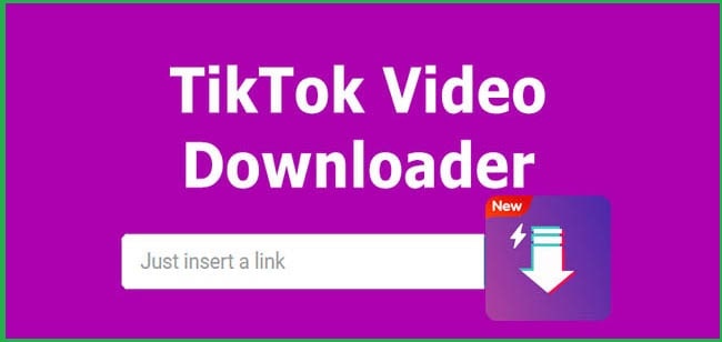 sssTikTok - Laden Sie Tiktok-Videos ohne Wasserzeichen herunter