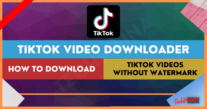 Tiktok Video Downloader: Laden Sie Tiktok-Videos ohne Wasserzeichen herunter