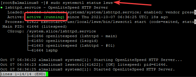 So installieren Sie den OpenLiteSpeed-Webserver auf Alma Linux 8