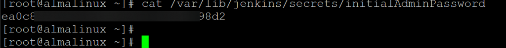 Rufen Sie das Jenkins-Admin-Passwort ab