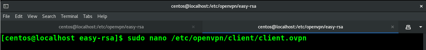 Konfiguration des OpenVPN-Clients