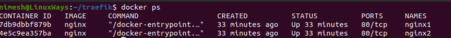 So richten Sie Traefik Load Balancer mit Docker in Ubuntu 20.04 ein
