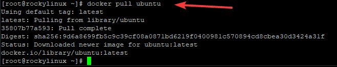 Holen Sie sich das Ubuntu Docker-Image