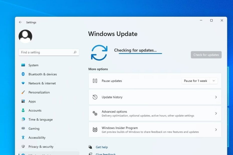 windows 11 sucht nach updates