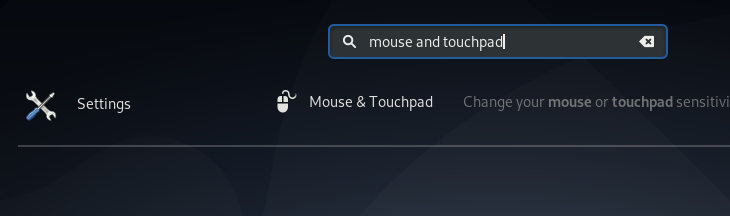 Maus und Touchpad