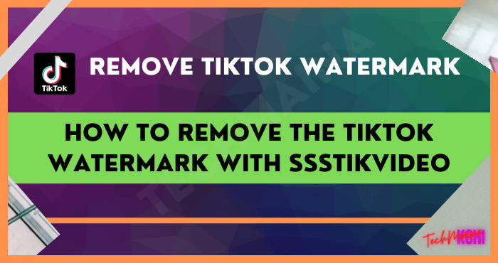 So entfernen Sie das TikTok-Wasserzeichen mit SssTikvideo [2022]