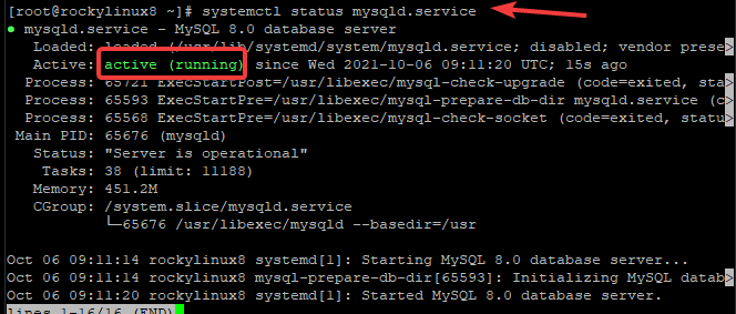 MySQL starten