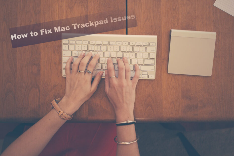 Ursachen für Mac Trackpad-Probleme und wie man sie behebt
